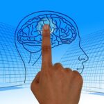 brain-770044__340