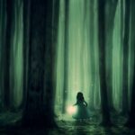 forest-3833973_640