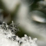 snowflakes-1245747_640